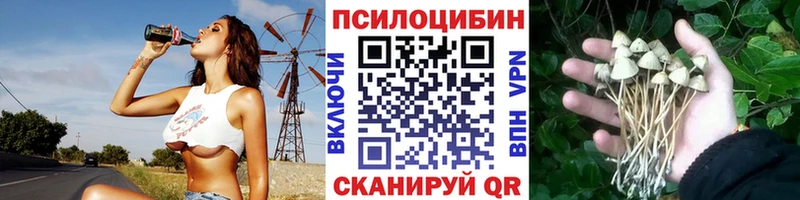 Псилоцибиновые грибы мицелий  купить   Бугуруслан 